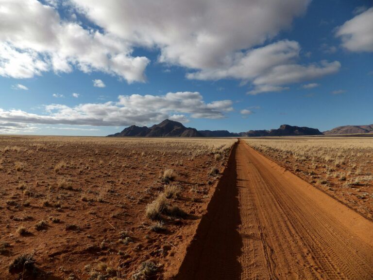 A dirt road in a desert, representing a medical desert.